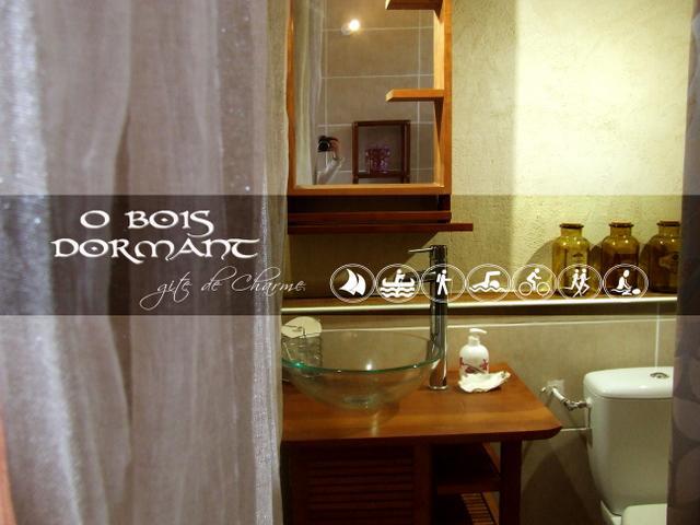 O Bois Dormant- Studio Vue Rance River Et Viaduc De Dinan Lanvallay Экстерьер фото